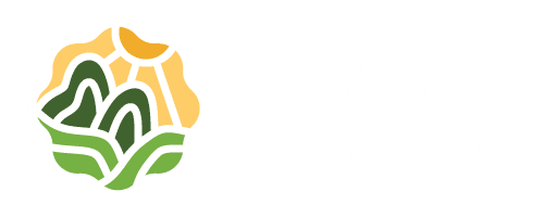 Bario Harvest